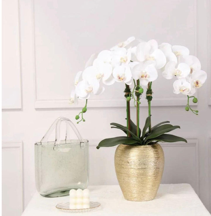 3 Branched White Orchid Plant In Tall Gold Pot - Gilt Touch