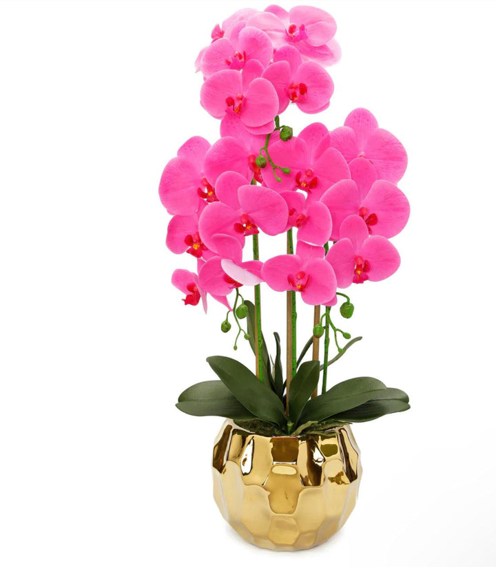 Pink Orchid Plant In Round Gold Hammered Vase - Gilt Touch